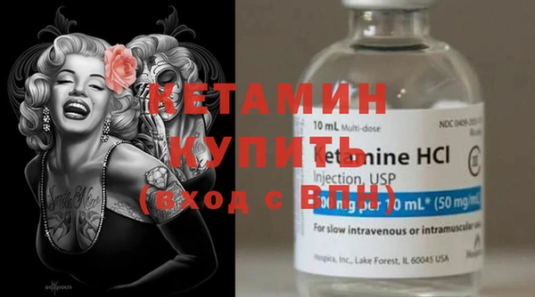 сатива Няндома
