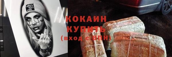 сатива Няндома