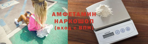 сатива Няндома
