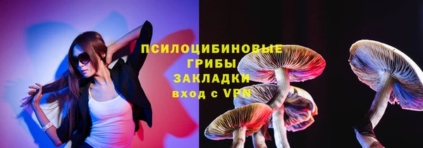 сатива Няндома