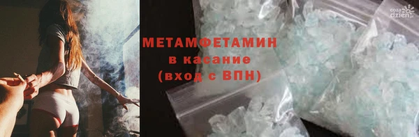 сатива Няндома