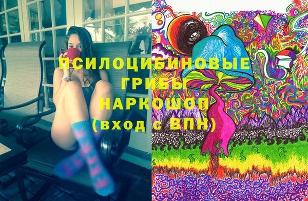 сатива Няндома