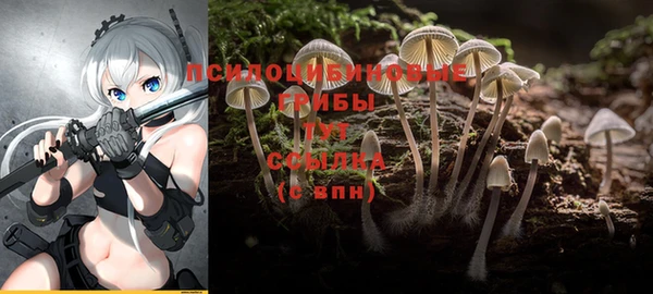 метамфетамин Нязепетровск