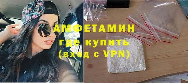 сатива Няндома