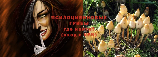 ГАЛЛЮЦИНОГЕННЫЕ ГРИБЫ Новокубанск
