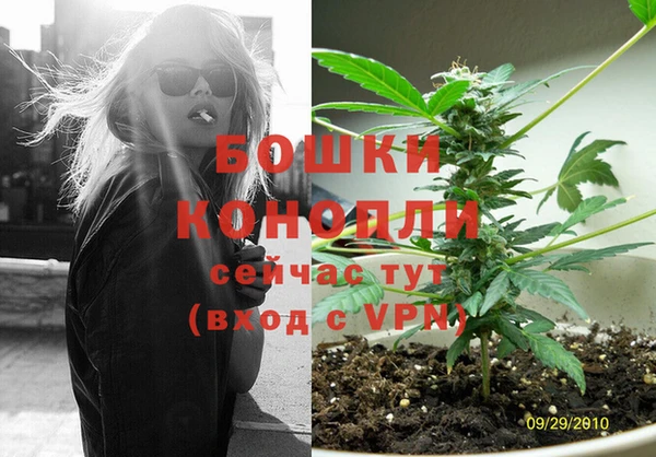сатива Остров