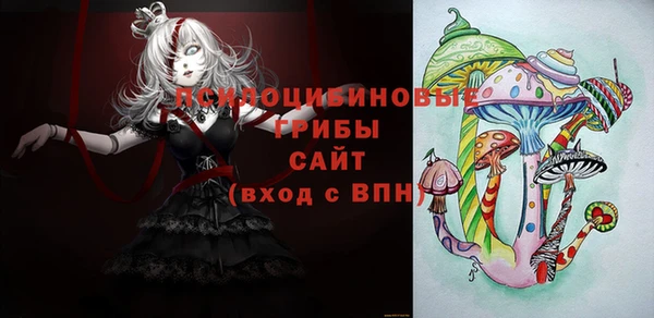 сатива Няндома