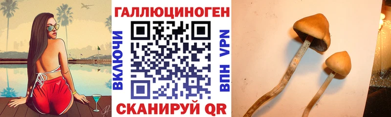 Купить закладки  Амурск  Галлюциногенные грибы мицелий 